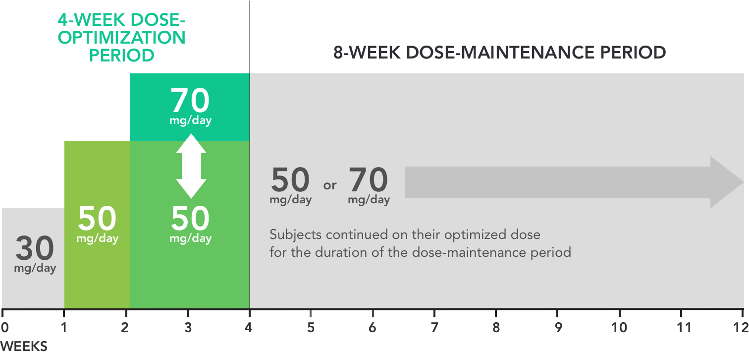 Dosing for Vyvanse®. After 4 weeks of dosing optimization, there was an 8-week dose-maintenance period.