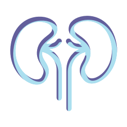 Vyvanse® kidney issues Icon.
